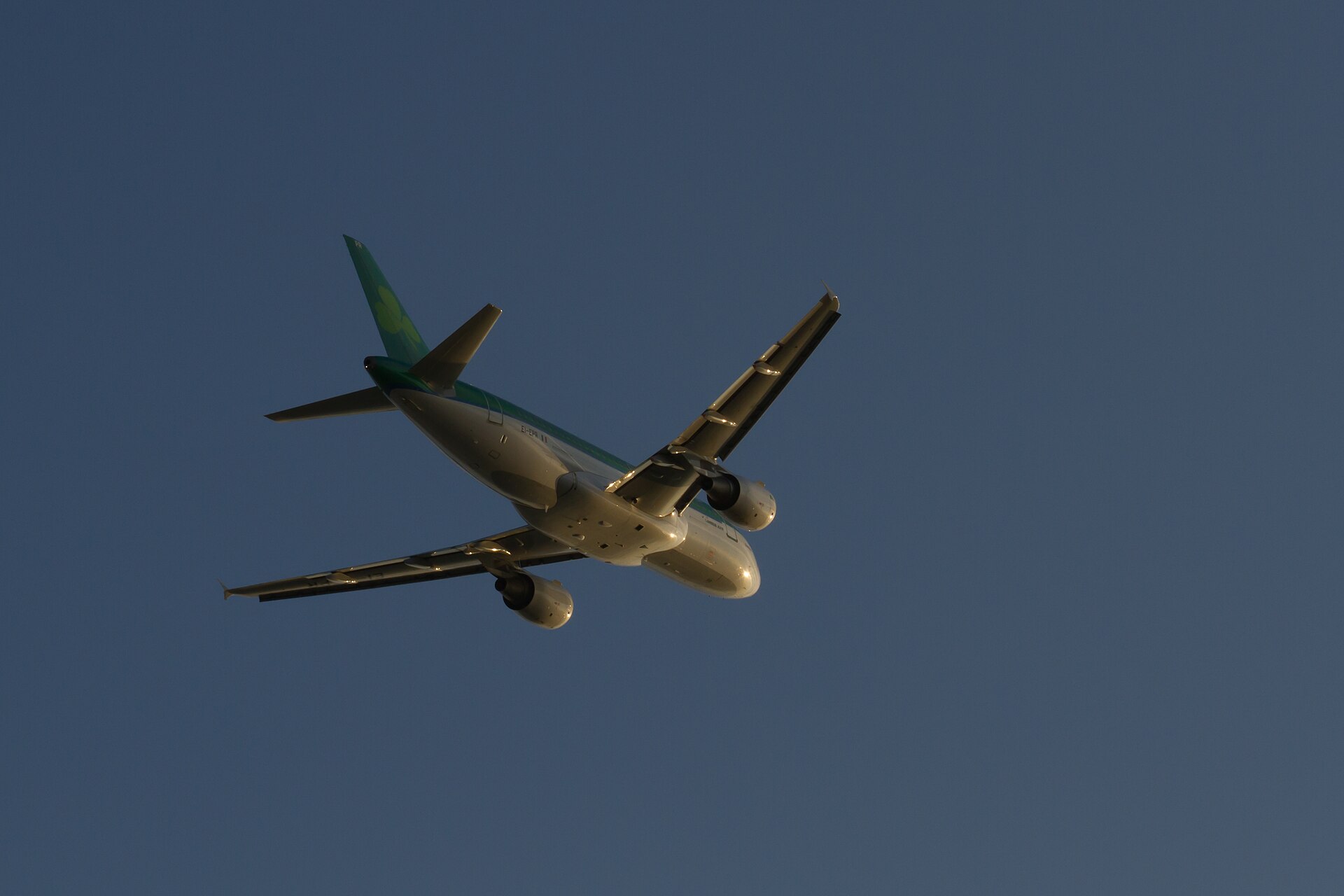 Aer Lingus 2