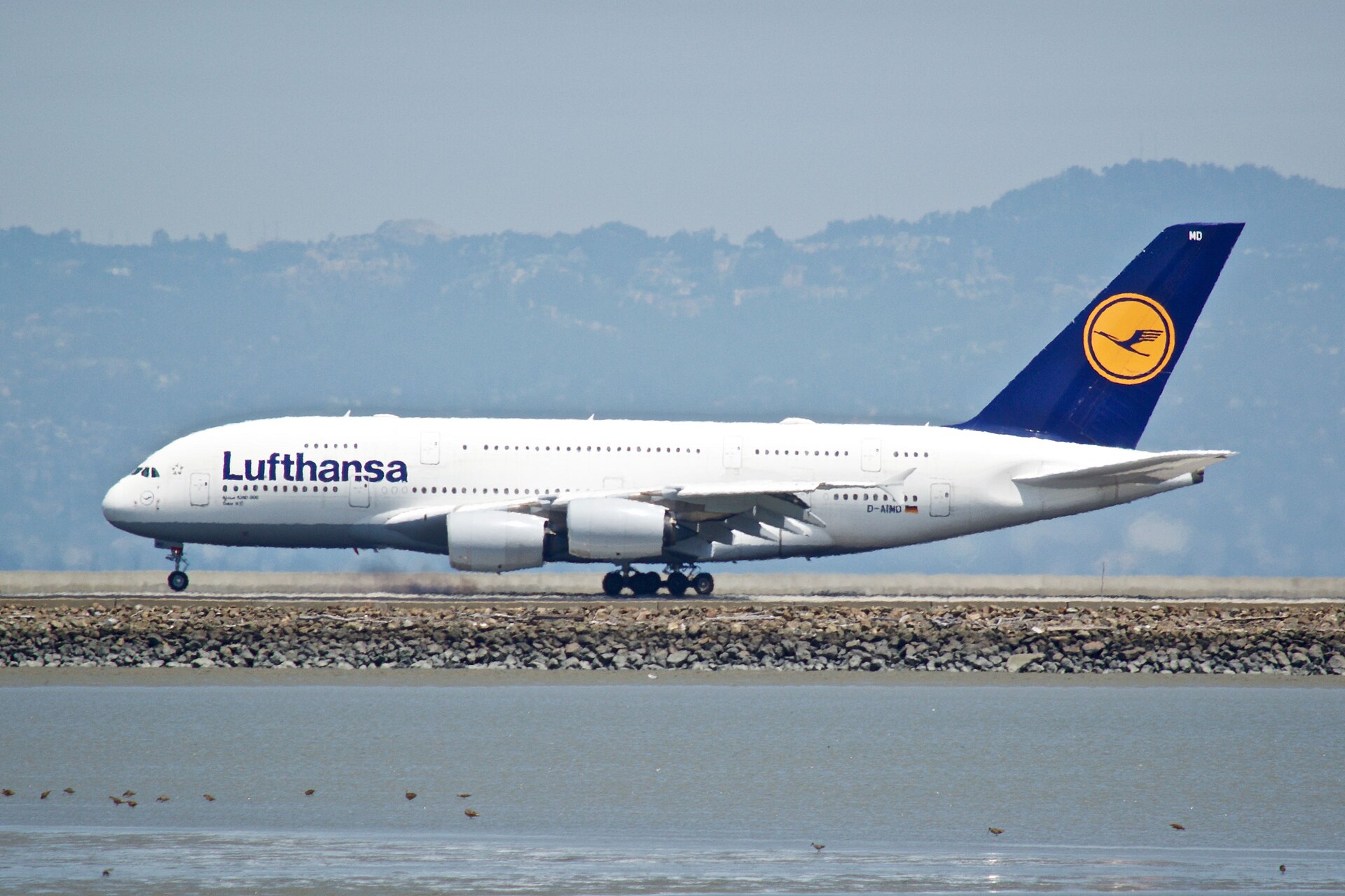 Airlines