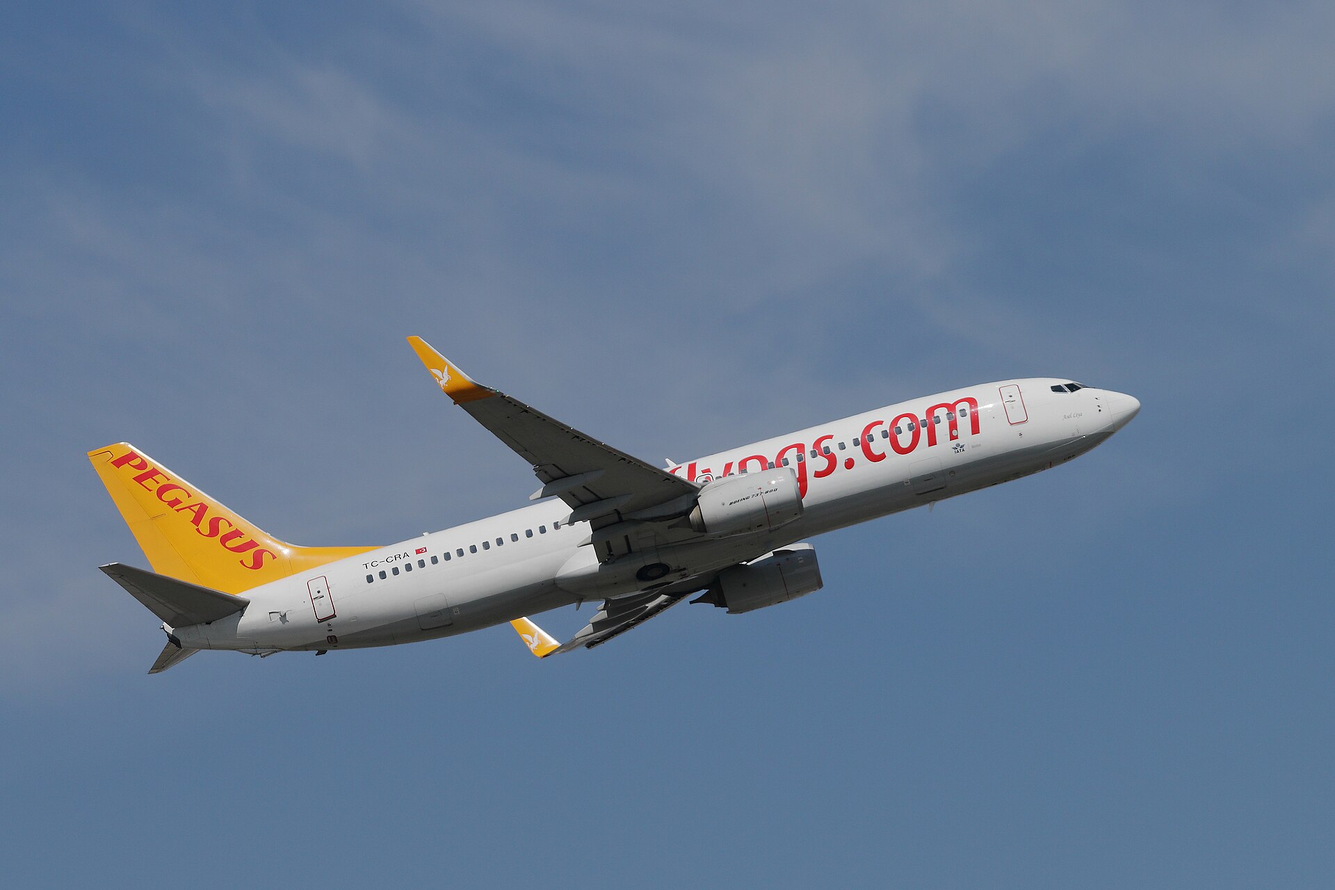 Pegasus Airlines