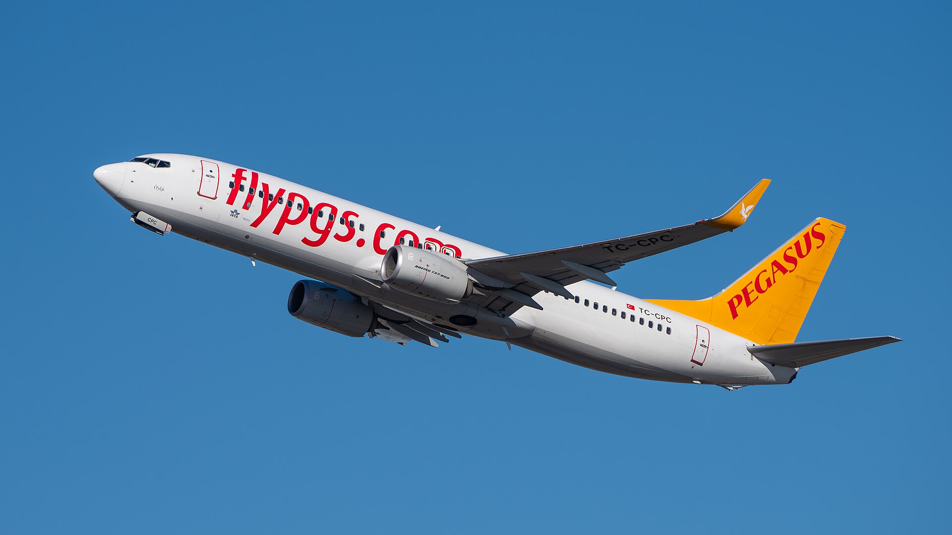 Pegasus Airlines 3