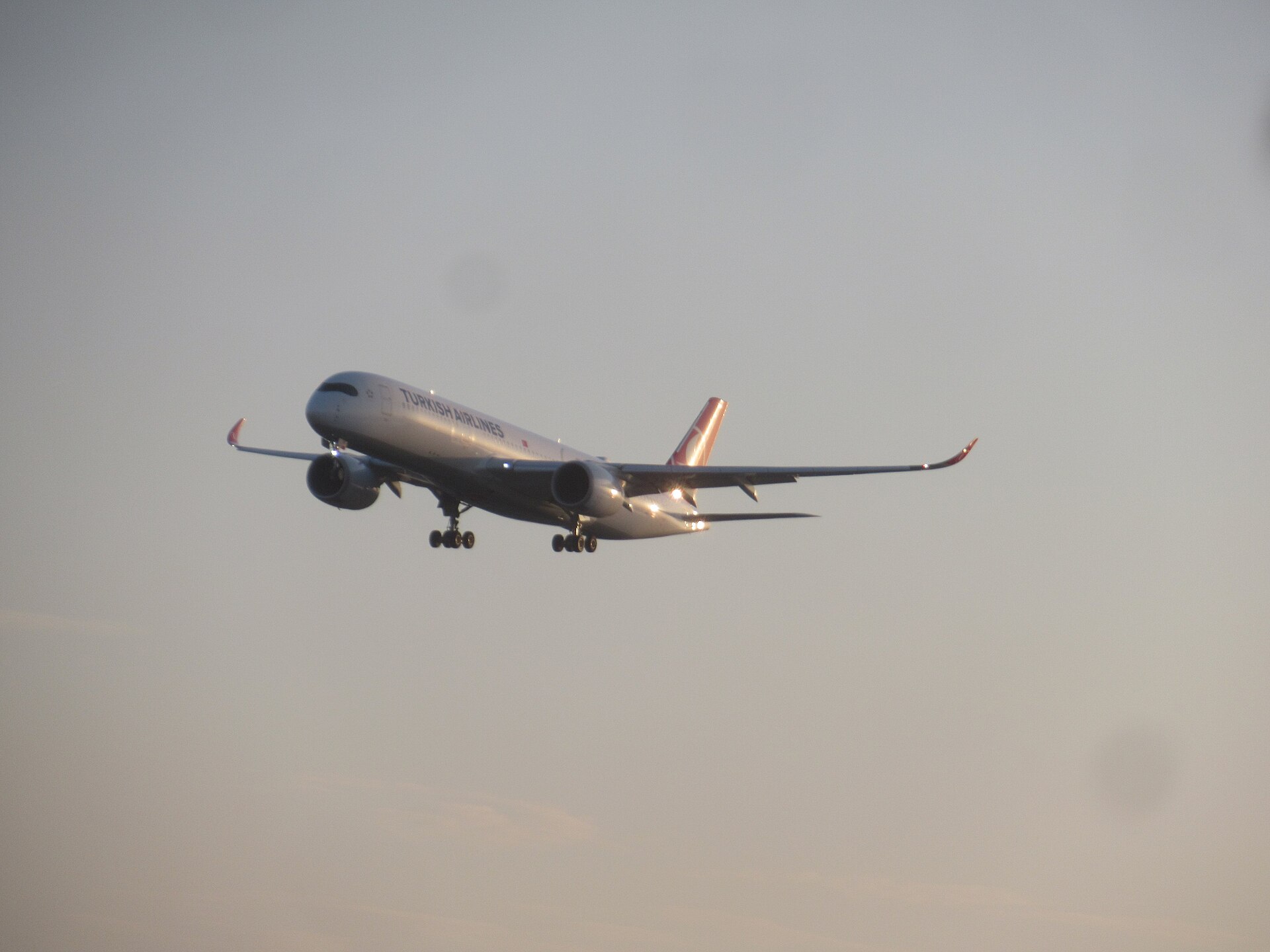 Turkish Airlines 3