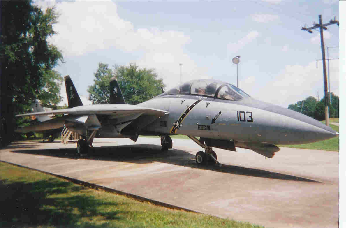 F-14 Tomcat 3