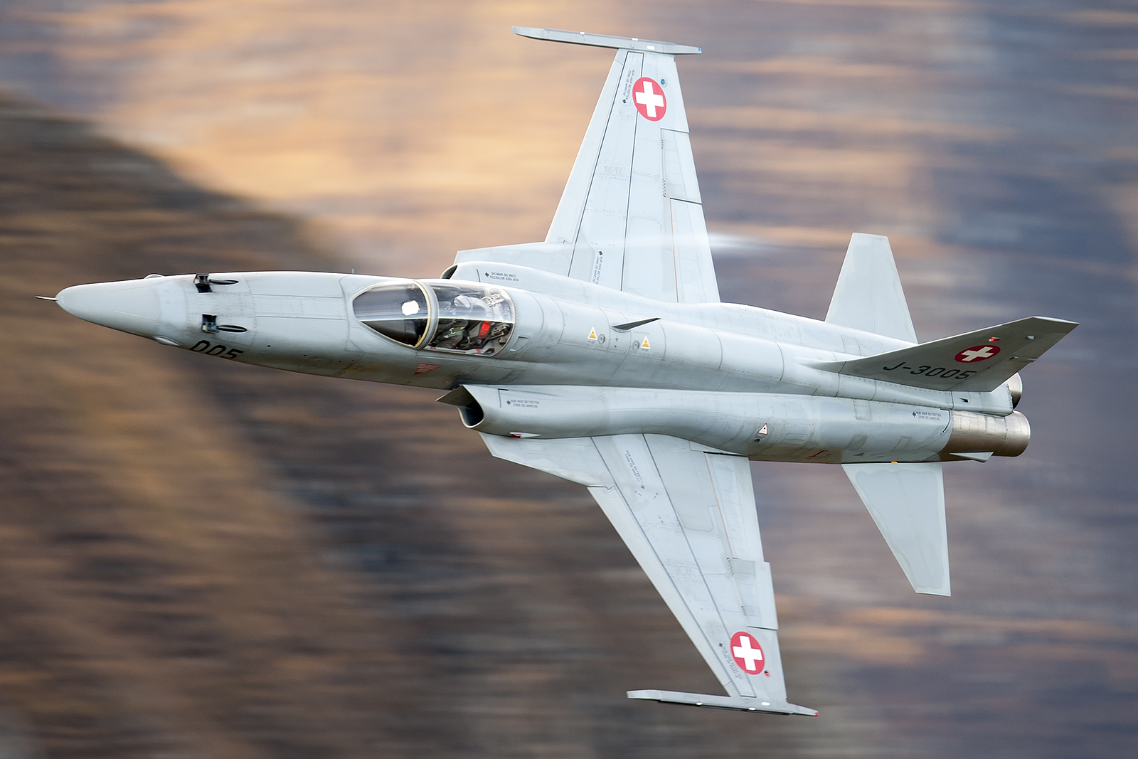 F-5 Freedom Fighter / Tiger II 1