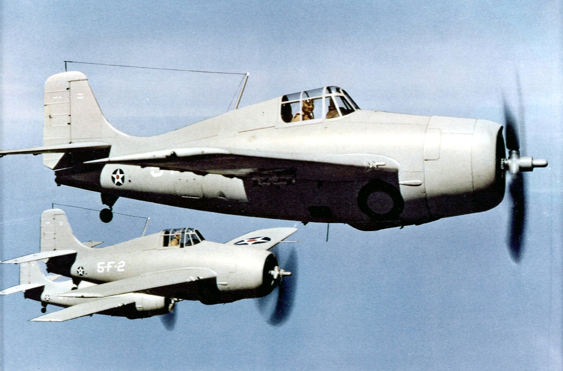 F4F Wildcat 2