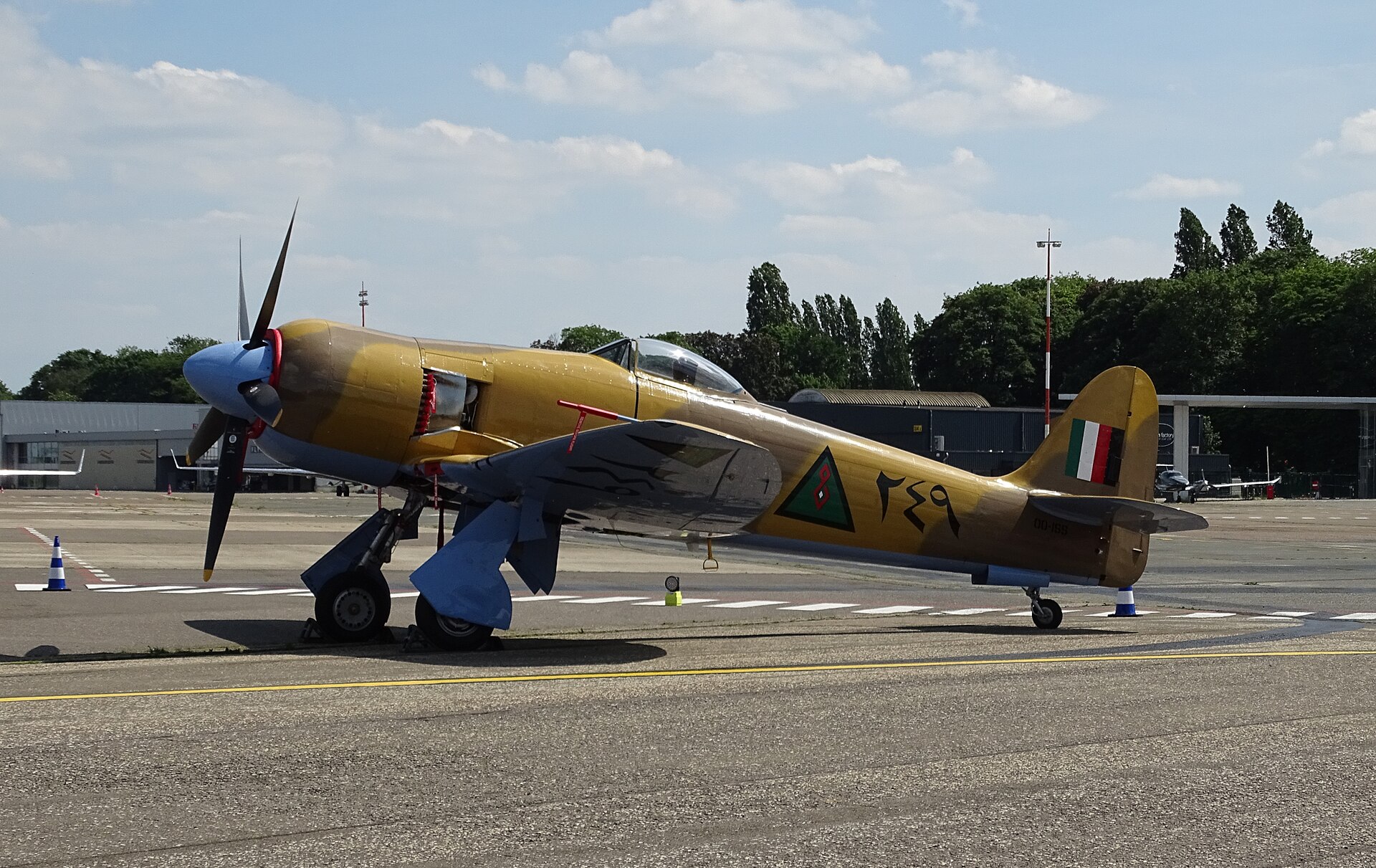 Hawker Sea Fury 1