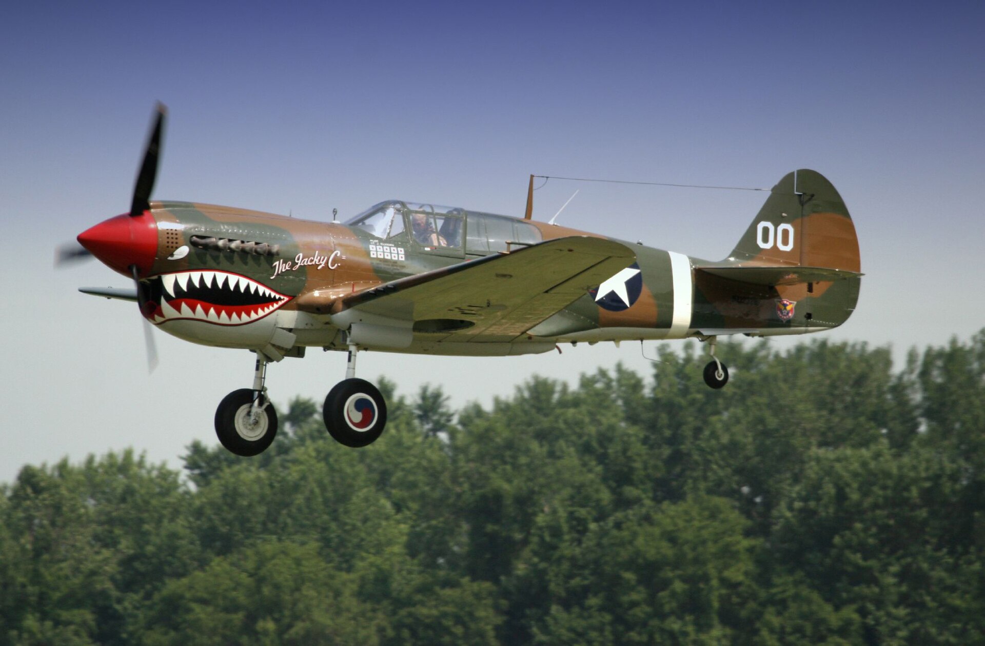 P-40 Warhawk 4