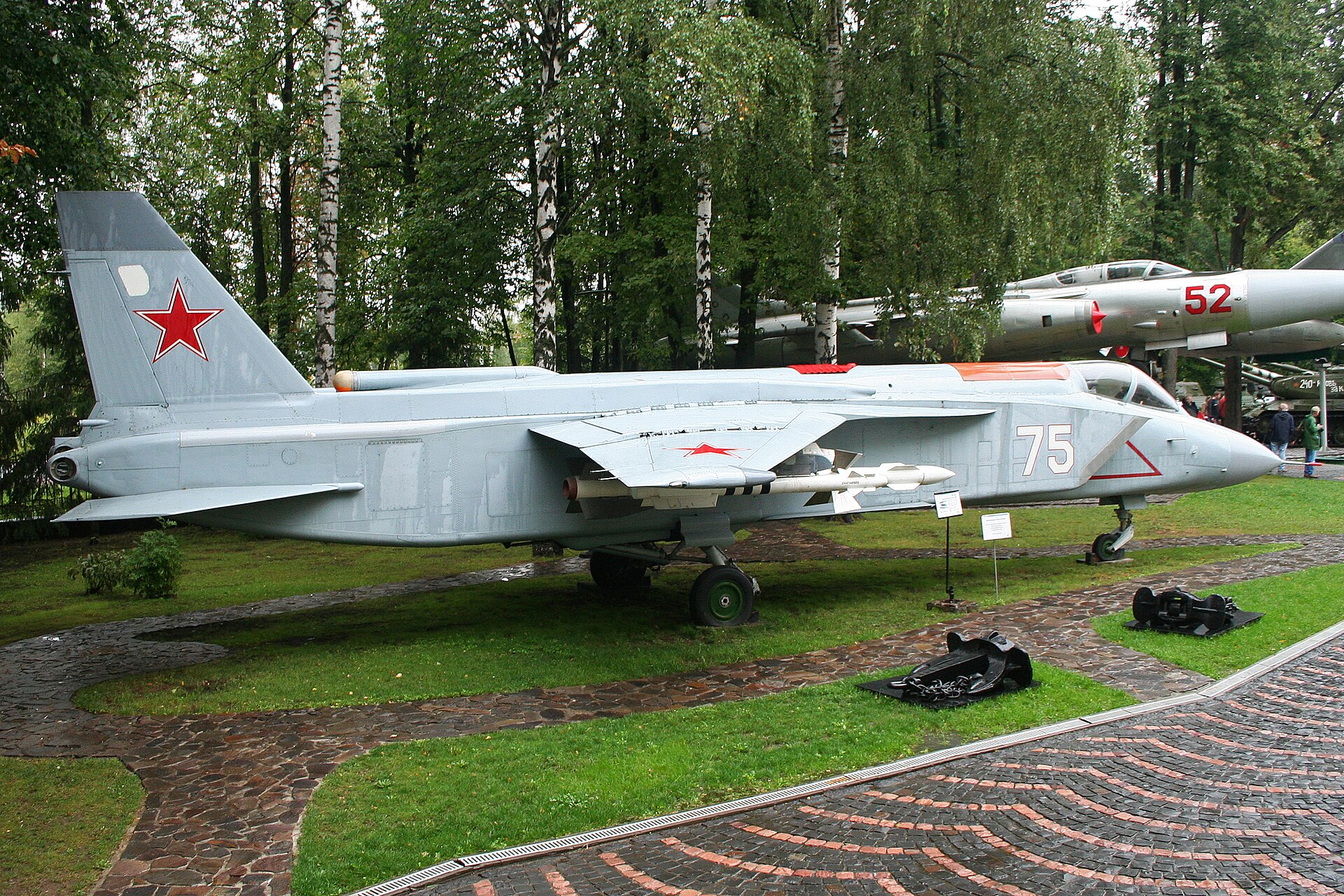 Yak-141 Freestyle 1